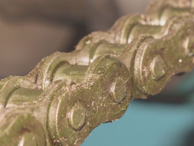 Runden und rückwärts rollen