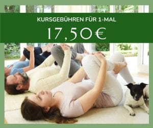 Kursgebühren 17,50