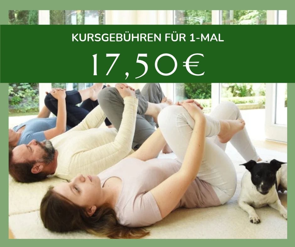 Kursgebühren 17,50